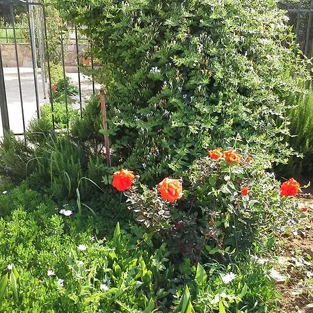Marine&sunny View Ajos Nikolaos
