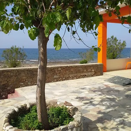 Marine And Sunny View