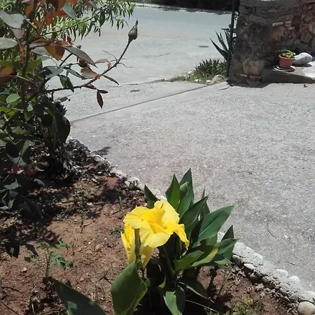 Marine&sunny View Apartament Ajos Nikolaos